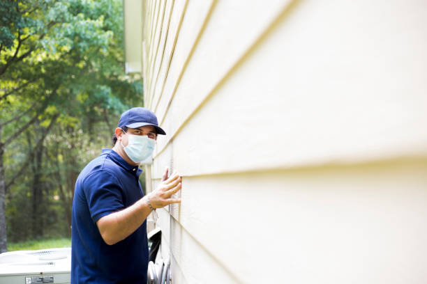 Best Siding Painting and Refinishing  in Toro Nyon, CA