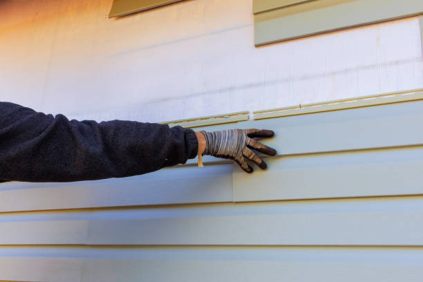 Affordable Siding Repair and Maintenance Services in Toro Canyon, CA